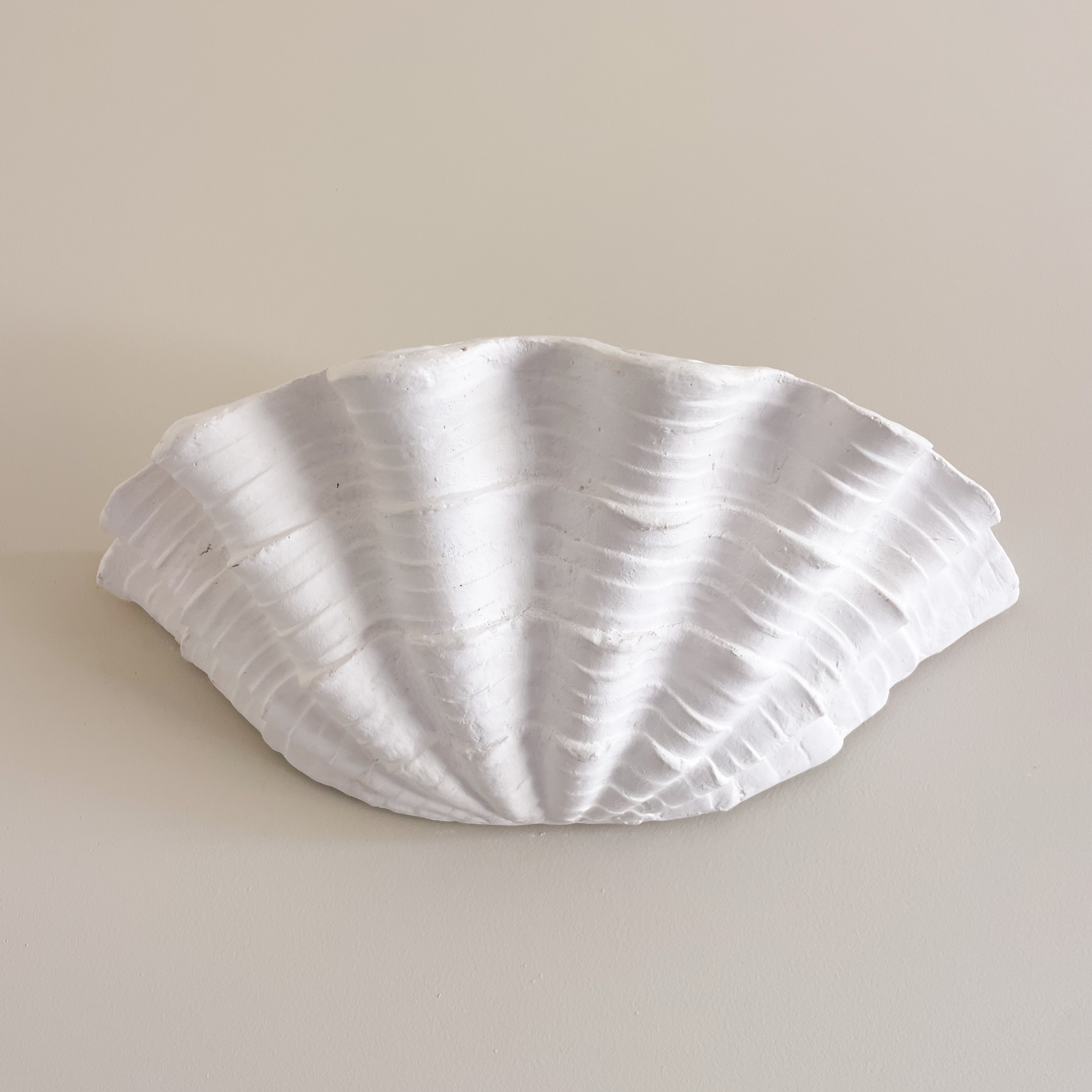 Applique Coquillage - Plaster Sculptural Shell Applique